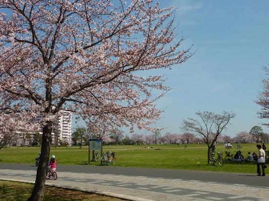 Parco Ojima Komatsugawa